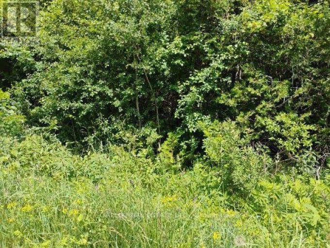 LOT 78 SOUTH MOUNTAIN ROAD, Kawartha Lakes (Bexley), Ontario, K0M2B0