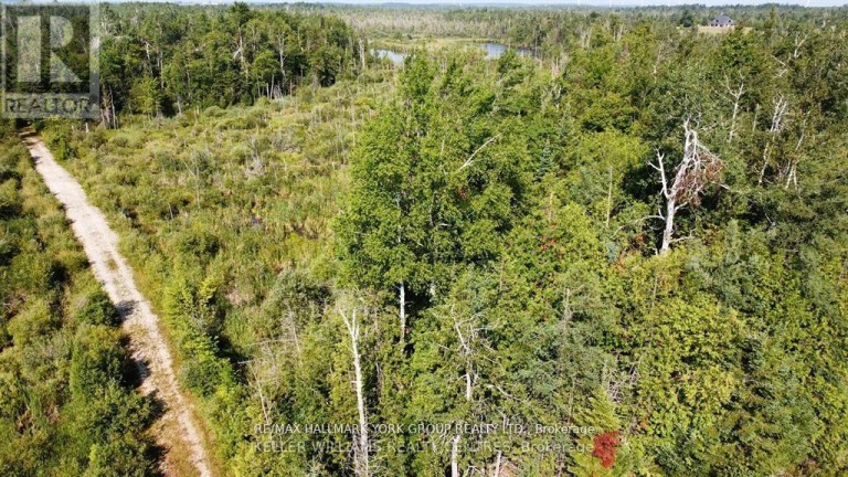 PT LOT 80 GREY ROAD, Grey Highlands, Ontario, N0C1M0