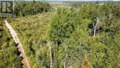 PT LOT 80 GREY ROAD Grey Highlands Ontario photo 4