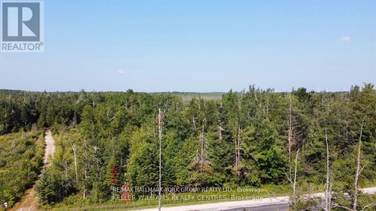 PT LOT 80 GREY ROAD, Grey Highlands, Ontario, N0C1M0