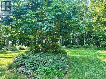 360 Route 190 Carlingford New Brunswick photo 38
