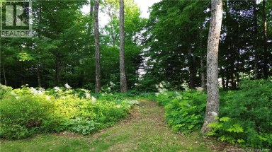 360 Route 190 Carlingford New Brunswick photo 40