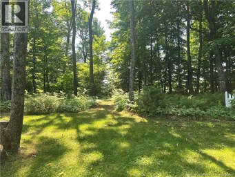 360 Route 190 Carlingford New Brunswick photo 44