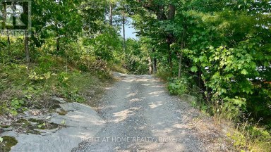 29 MAPLE RIDGE - 1336 SOUTH MORRISON LAKE ROAD Gravenhurst (Wood (Gravenhurst)) Ontario photo 41