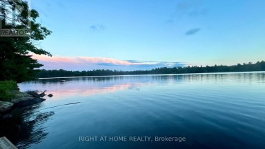 29 MAPLE RIDGE - 1336 SOUTH MORRISON LAKE ROAD Gravenhurst (Wood (Gravenhurst)) Ontario photo 45