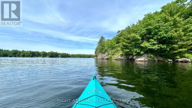 29 MAPLE RIDGE - 1336 SOUTH MORRISON LAKE ROAD Gravenhurst (Wood (Gravenhurst)) Ontario photo 46