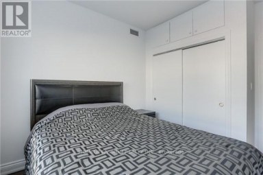 201 - 683 DANFORTH AVENUE Toronto (North Riverdale) Ontario photo 11