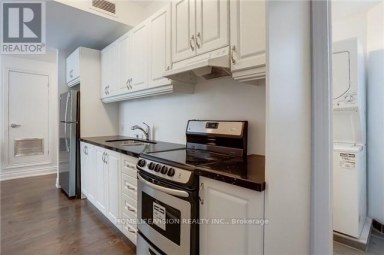 201 - 683 DANFORTH AVENUE Toronto (North Riverdale) Ontario photo 9