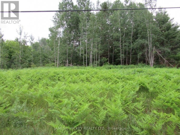 Pt Lot 48, Range B Hwy 17 Highway, Laurentian Hills, Ontario (id X13516714)