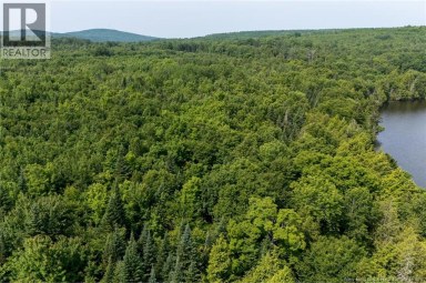 n/a Mud Lake Road Upper Skiff Lake New Brunswick photo 11