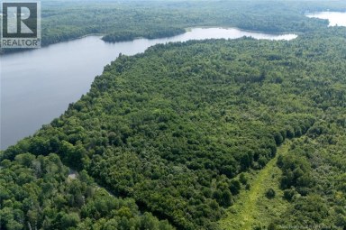 n/a Mud Lake Road Upper Skiff Lake New Brunswick photo 14
