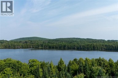 n/a Mud Lake Road Upper Skiff Lake New Brunswick photo 15