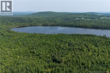n/a Mud Lake Road Upper Skiff Lake New Brunswick photo 16