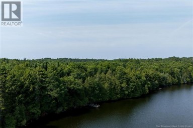 n/a Mud Lake Road Upper Skiff Lake New Brunswick photo 5