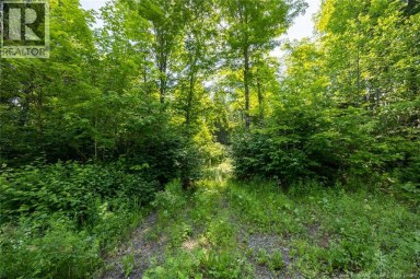 n/a Mud Lake Road Upper Skiff Lake New Brunswick photo 7