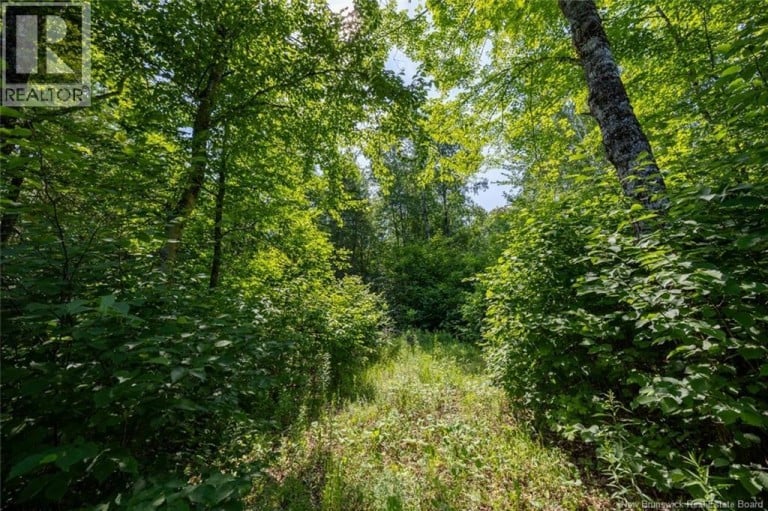 n/a Mud Lake Road, Upper Skiff Lake, New Brunswick, E6H1R7
