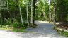 50 CONCESSION 2 AND 3 WEST ROAD W, Huntsville (brunel), Ontario, P1H2J3 (ID X13518546)
