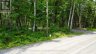 50 CONCESSION 2 AND 3 WEST ROAD W, Huntsville (brunel), Ontario, P1H2J3 (ID X13518546)