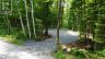 50 CONCESSION 2 AND 3 WEST ROAD W, Huntsville (brunel), Ontario, P1H2J3 (ID X13518546)