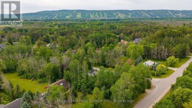 23 SILVER CREEK DRIVE Collingwood Ontario photo 4