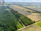204642 NINTH Road, Tillsonburg, Ontario, N4G4G8 (ID 40845119)