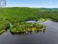 1282 CARROLL ROAD, Dysart Et Al (dudley), Ontario, K0M1S0 (ID X13521342)