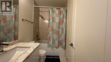 207 - 330 RICHMOND STREET W Toronto (Waterfront Communities) Ontario photo 10