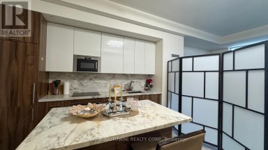207 - 330 RICHMOND STREET W Toronto (Waterfront Communities) Ontario photo 3