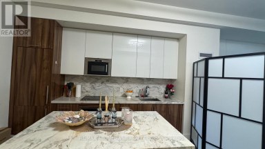 207 - 330 RICHMOND STREET W Toronto (Waterfront Communities) Ontario photo 6