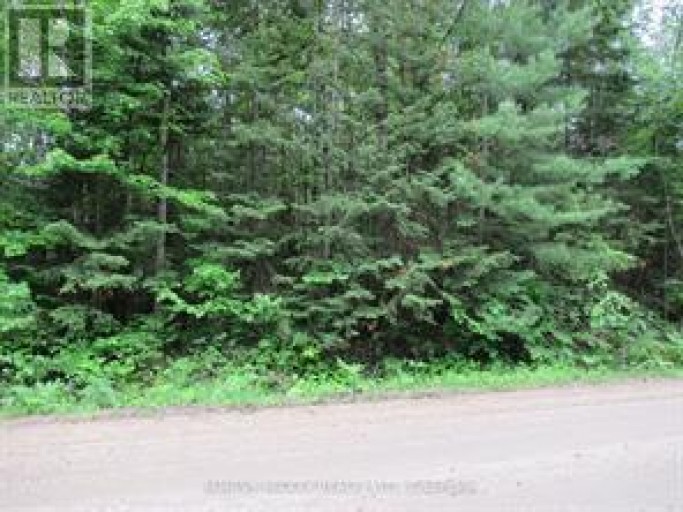 Pt Lt 49 Old Moore Lake Road, Laurentian Hills, Ontario (id X13522498)