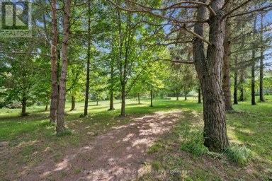 9540 AYTON ROAD Minto Ontario photo 41
