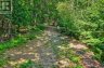 0 ALICE DRIVE, Algonquin Highlands (livingstone), Ontario, P0A1E0 (ID X13523398)