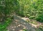 0 ALICE DRIVE, Algonquin Highlands (livingstone), Ontario, P0A1E0 (ID X13523398)