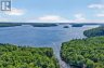 0 ALICE DRIVE, Algonquin Highlands (livingstone), Ontario, P0A1E0 (ID X13523398)