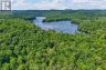 0 ALICE DRIVE, Algonquin Highlands (livingstone), Ontario, P0A1E0 (ID X13523398)