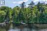 0 ALICE DRIVE, Algonquin Highlands (livingstone), Ontario, P0A1E0 (ID X13523398)