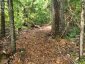 0 ALICE DRIVE, Algonquin Highlands (livingstone), Ontario, P0A1E0 (ID X13523398)