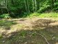 0 ALICE DRIVE, Algonquin Highlands (livingstone), Ontario, P0A1E0 (ID X13523398)