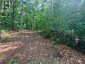 0 ALICE DRIVE, Algonquin Highlands (livingstone), Ontario, P0A1E0 (ID X13523398)