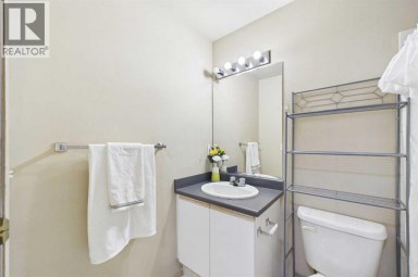 416, 21 Dover Point SE Calgary Alberta photo 19
