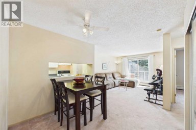 416, 21 Dover Point SE Calgary Alberta photo 5