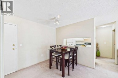416, 21 Dover Point SE Calgary Alberta photo 7