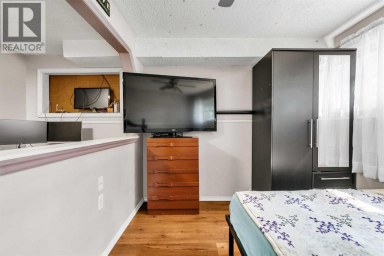 215 ERIN WOODS Drive SE Calgary Alberta photo 18