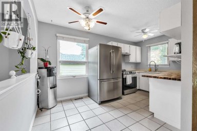 215 ERIN WOODS Drive SE Calgary Alberta photo 7