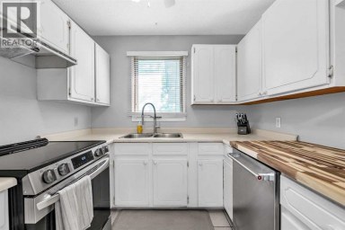215 ERIN WOODS Drive SE Calgary Alberta photo 8