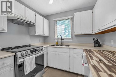 215 ERIN WOODS Drive SE Calgary Alberta photo 9