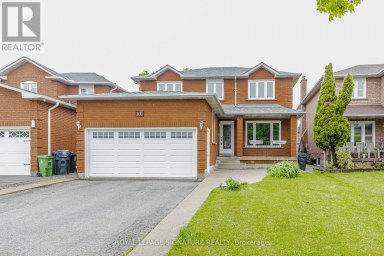 BASMENT - 101 HULLRICK DRIVE Toronto (West Humber-Clairville) Ontario photo 1