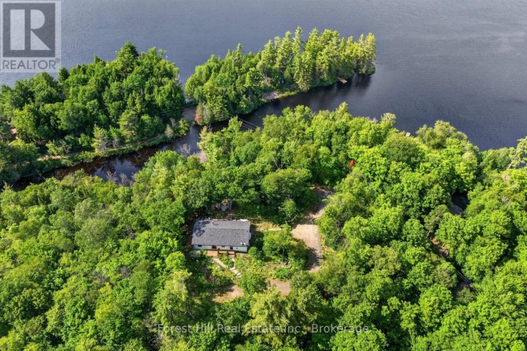 1065 PINE LANE S, Lake Of Bays (ridout), Ontario, P0A1B0 (ID X13524678)