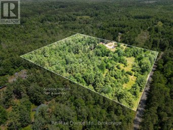 690 POTTER SETTLEMENT ROAD Tweed (Hungerford (Twp)) Ontario photo 46