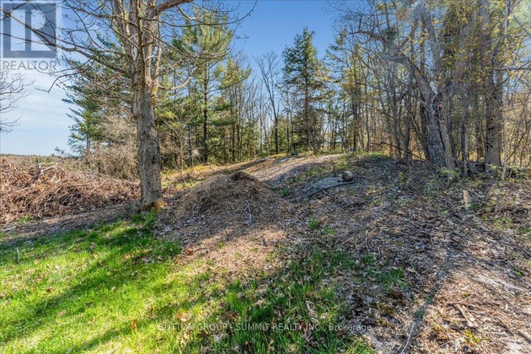 49 PINERIDGE DRIVE, McDougall, Ontario, P2A2W9